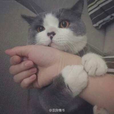 征途勇者游戏下载