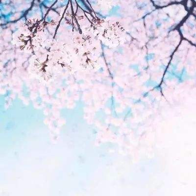 “菜单式物业”提供个性化服务